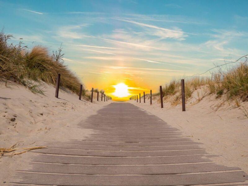 From Agadir/Taghazout: Sahara Sand Dunes With Transfer - Customer Feedback