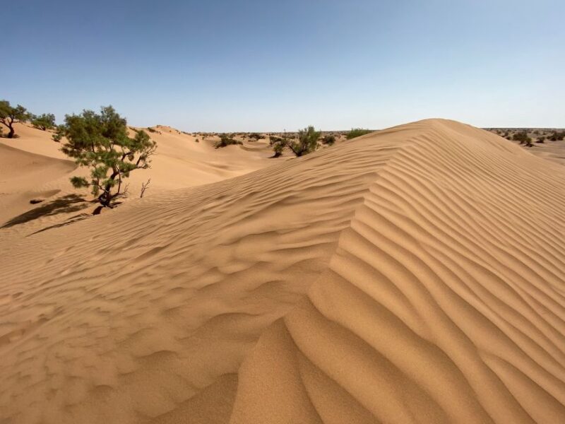 From Agadir/Taghazout: Sahara Sand Dunes With Transfer - Good To Know