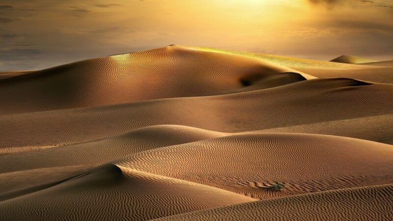 From Agadir/Taghazout: Sahara Sand Dunes With Transfer - Good To Know