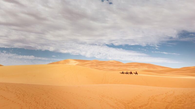 From Agadir/Taghazout: Sahara Sand Dunes With Transfer - Activity Highlights