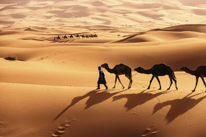 From Agadir/Taghazout: Sahara Sand Dunes With Transfer - Booking Process