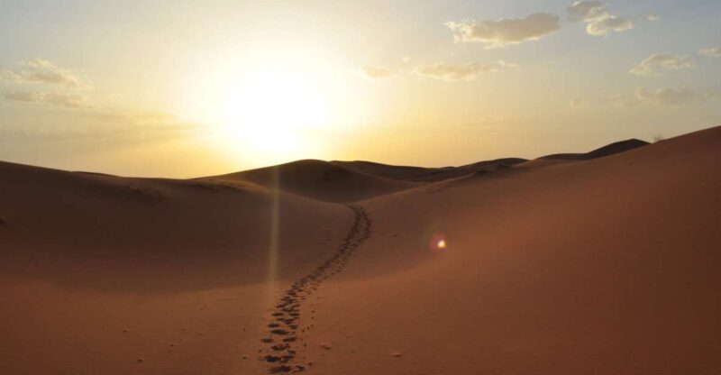 From Agadir/Taghazout: Sahara Sand Dunes With Transfer - Good To Know
