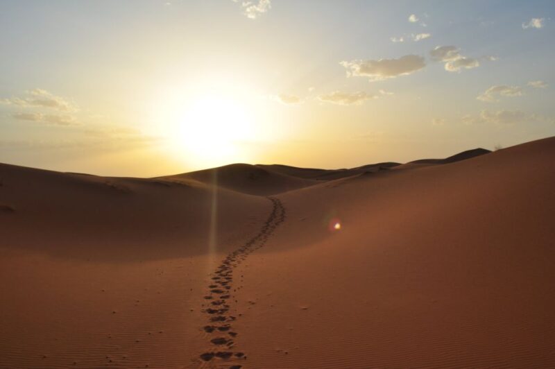 From Agadir/Taghazout: Sahara Sand Dunes With Transfer - Itinerary Highlights