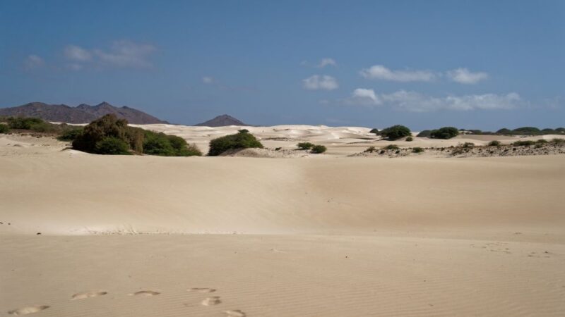 From Agadir/Taghazout: Sahara Sand Dunes With Transfer - Capturing Incredible Photos