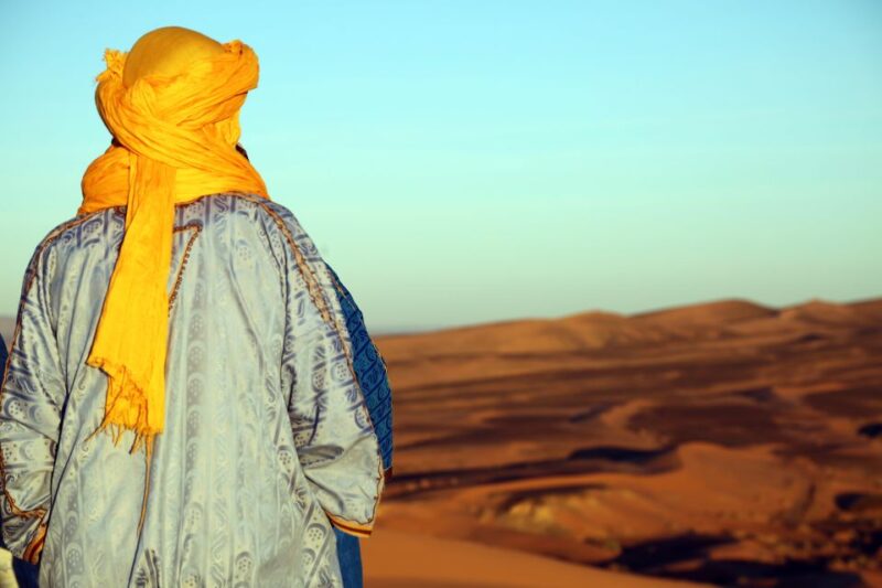 From Agadir/Taghazout: Sahara Sand Dunes With Transfer - Transportation and Logistics