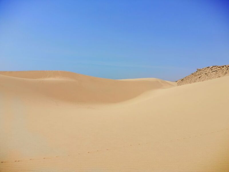 From Agadir/Taghazout: Sahara Sandboarding Guided Tour - Booking Information