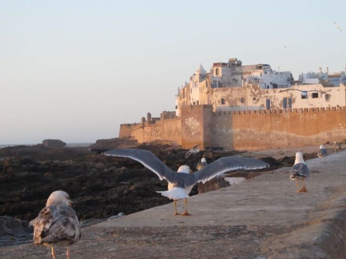 From Agadir Taghazoute: Essaouira Day Trip With Expert Guide - Taking in Cultural Heritage