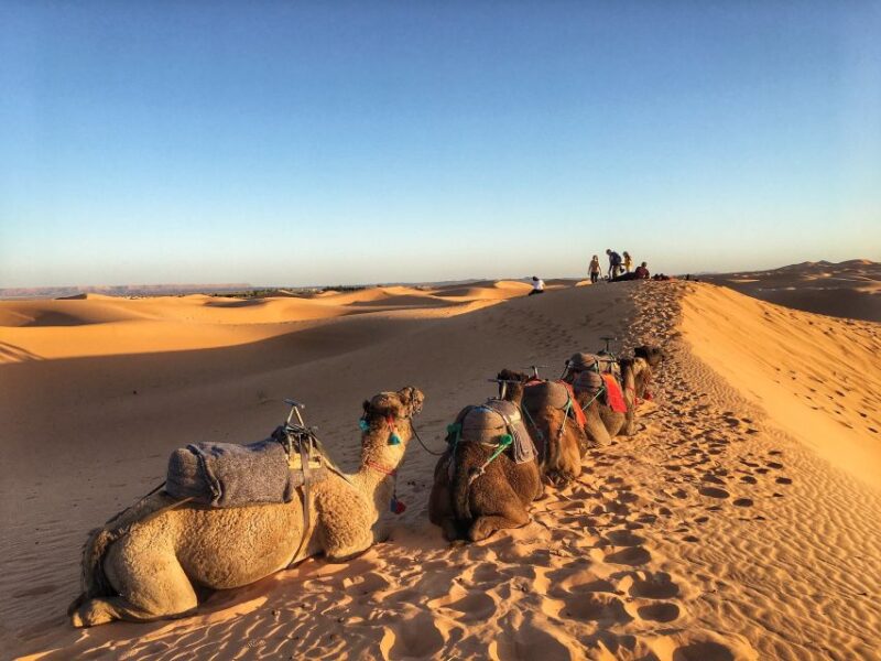 From Agadir/Tamraght/Taghazout: Sandoarding in Sand Dunes - Tour Location