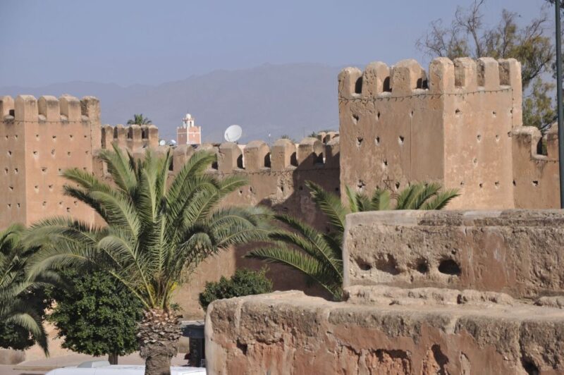 From Agadir: Taroudant & Tiout Guided Trip Including Lunch - Tour Inclusions