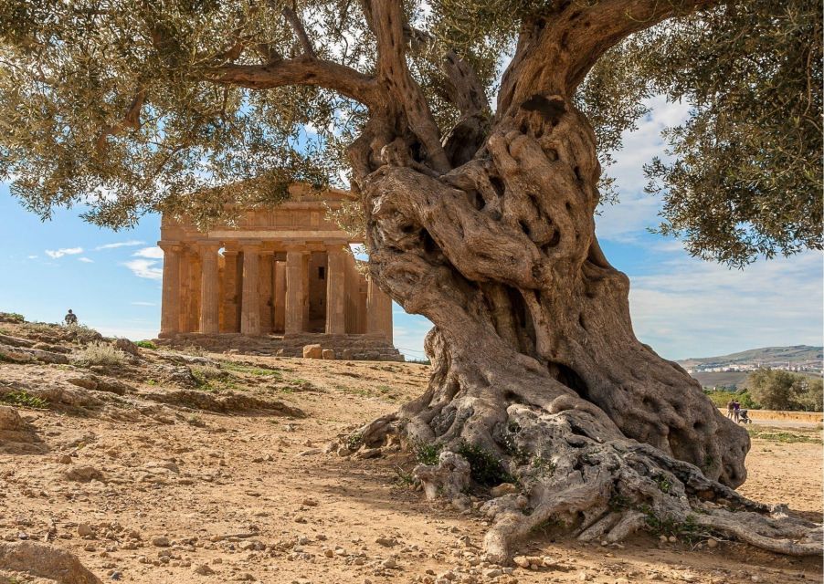 From Agrigento to Siracusa: Valley of Temples & Roman Villa - Included in the Tour