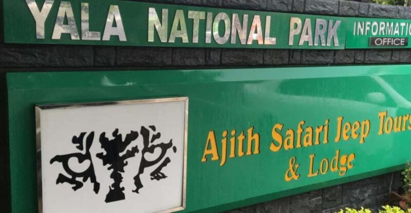 From : Ahungalla/ Ambalangoda - Udawalawe Safari - Arugambay - Good To Know