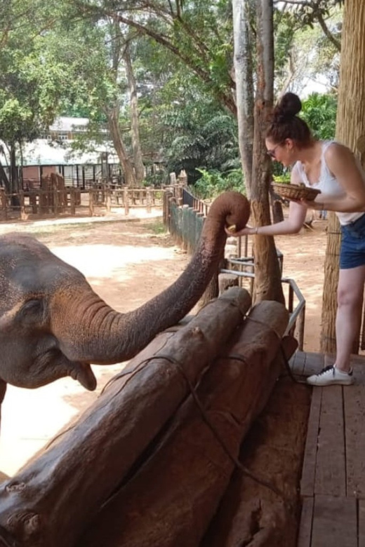 From : Ahungalla/ Ambalangoda - Udawalawe Safari - Arugambay - Itinerary Highlights