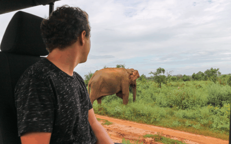 From : Ahungalla/ Ambalangoda - Udawalawe Safari - Arugambay - Morning Safari