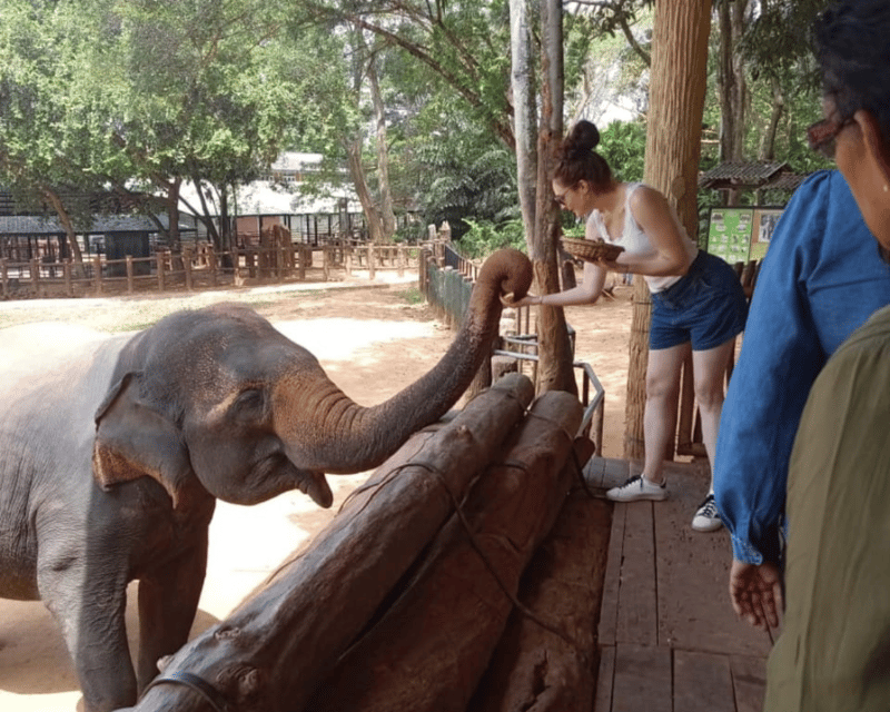 From : Ahungalla/ Ambalangoda - Udawalawe Safari - Arugambay - Inclusions and Fees