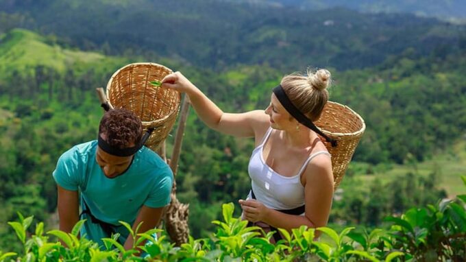 From - Ahungalla / Balapitiya / Ambalangoda Day Trip To Ella - Frequently Asked Questions