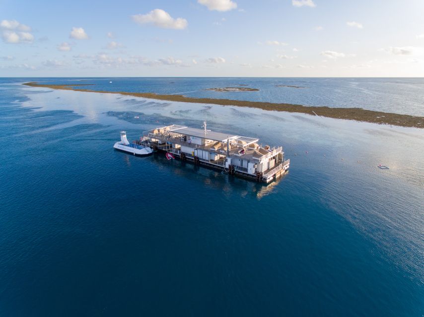 From Airlie Beach: Cruise and ReefWorld Pontoon Experience - Meeting Point