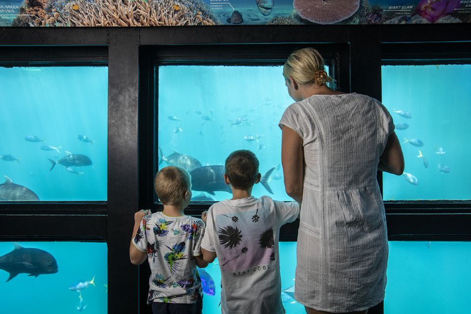 From Airlie Beach: Cruise and ReefWorld Pontoon Experience - Frequently Asked Questions