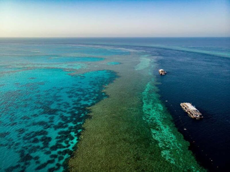 From Airlie Beach: Great Barrier Reef Adventure Cruise - Who Should Consider This Tour?