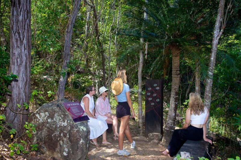 From Airlie Beach: Hook Island Cultural Tour, Sail & Snorkel - Sailing Back and Finishing Touches