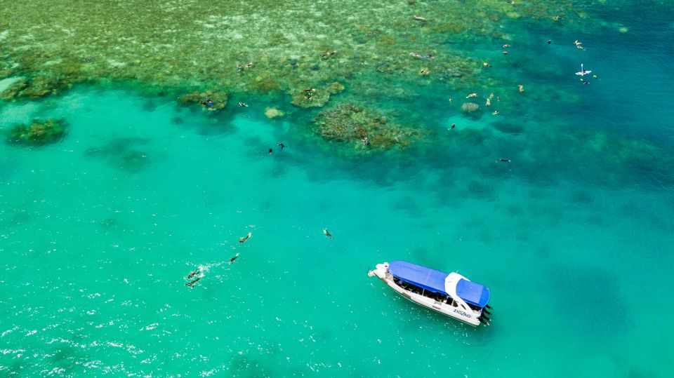 From Airlie Beach: Whitehaven and Chalkies Beaches Day Tour - Tour Highlights