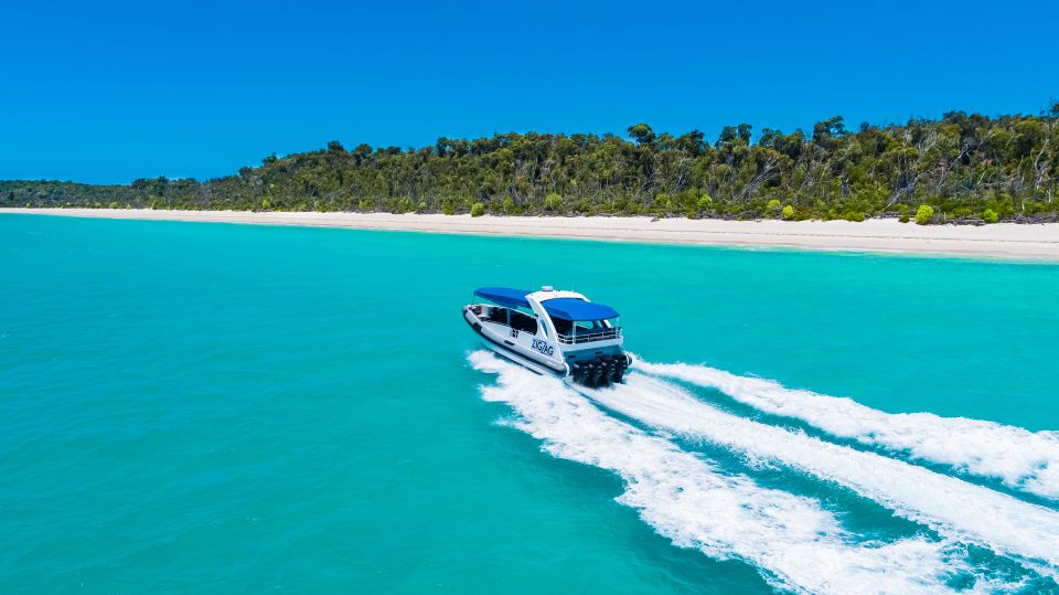 From Airlie Beach: Whitehaven and Chalkies Beaches Day Tour - Customer Reviews