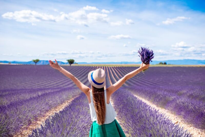 From Aix: Day Trip to Valensole Lavender Fields in Provence - Visiting the Lavender Fields