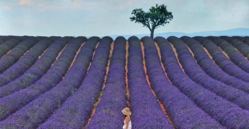 From Aix: Day Trip to Valensole Lavender Fields in Provence - Exploring Valensole Village