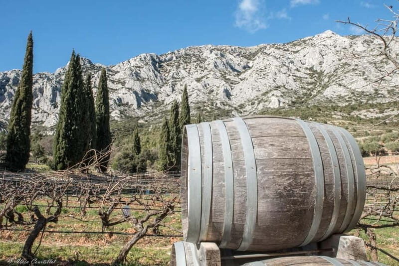 From Aix-en-Provence : Half-day Sidecar Wine Tour - Exploring Vauvenargues and Picasso’s Final Resting Place