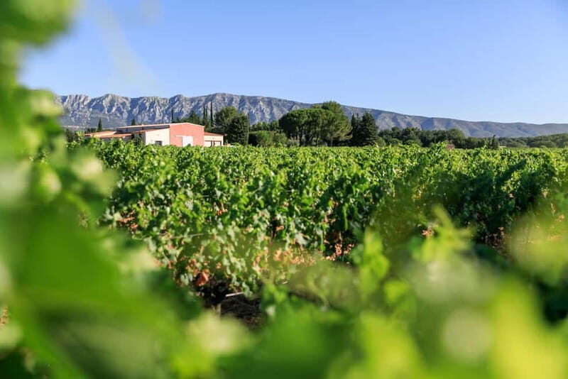 From Aix en Provence: Half-day Wine Tour in Provence - An Introduction to the Heart of Provence’s Vineyards
