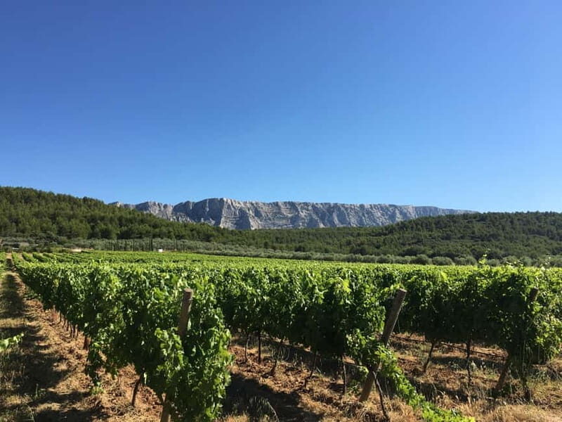 From Aix en Provence: Half-day Wine Tour in Provence - The Wines and Experience