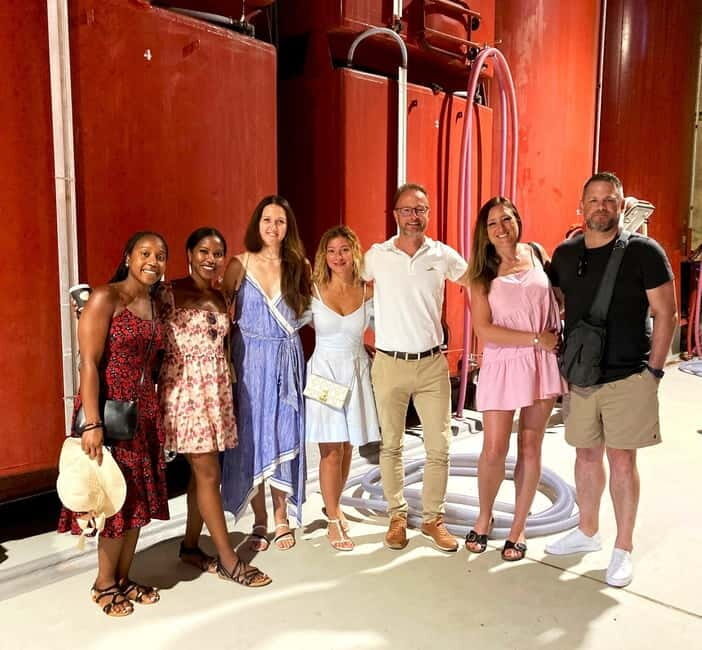 From Aix en Provence: Half-day Wine Tour in Provence - Who Should Consider This Tour?