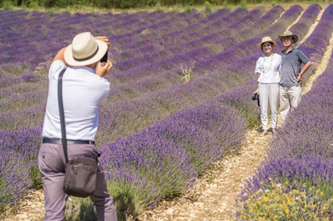From Aix-en-Provence: Lavender Half Day Tour - Local Lavender-Infused Products