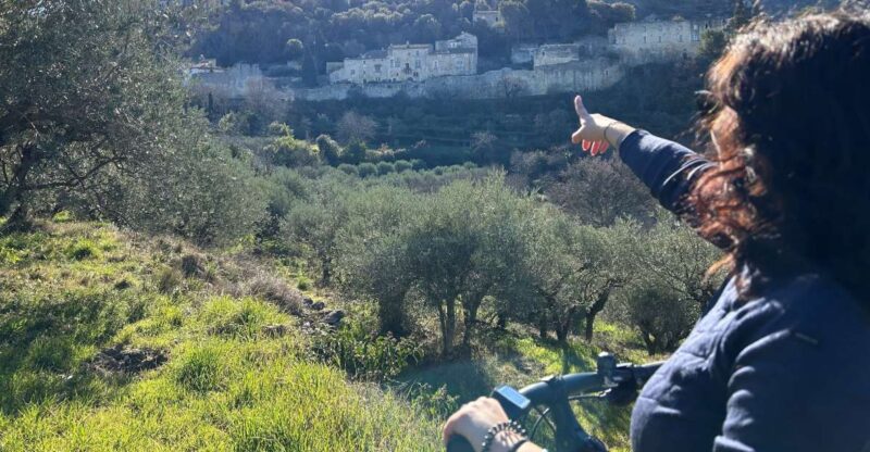 From Aix-En-Provence: Luberon Region E-Bike Full-Day Tour - Key Points