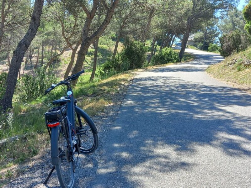From Aix-En-Provence: Luberon Region E-Bike Full-Day Tour - Experiencing Provences Natural Beauty