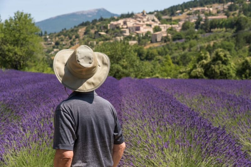 From Aix-en-Provence: Sault Lavender & Gordes Full-Day Tour - Lavender Fields in Provence