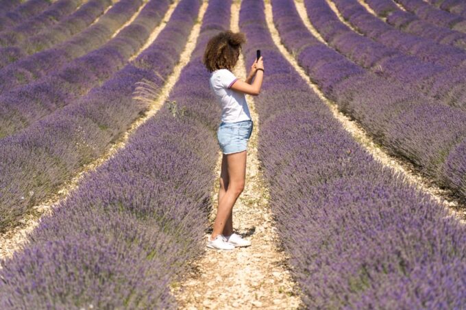 From Aix-en-Provence: Valensole Lavender Full-Day Tour - Frequently Asked Questions