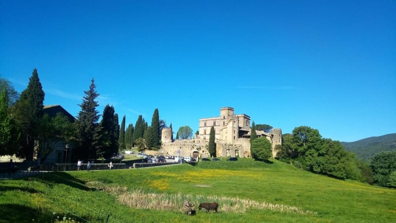 From Aix-En-Provence: Wine & Luberon Villages Full-Day Tour - About the Tour Guide