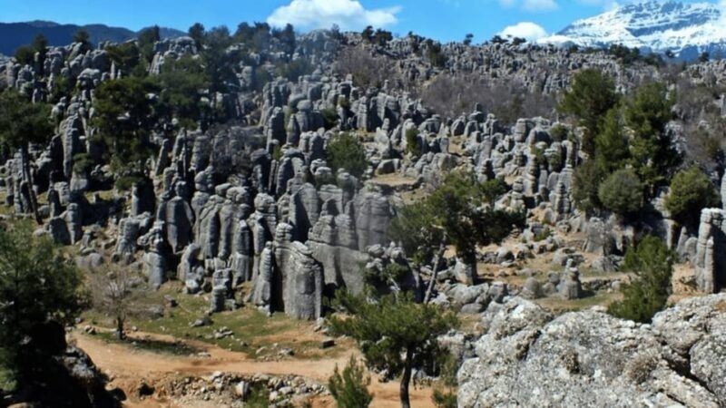 From Alanya: 4-in-1 Super Combo +Taz Canyon & Rafting - Authentic Perspectives from Reviews