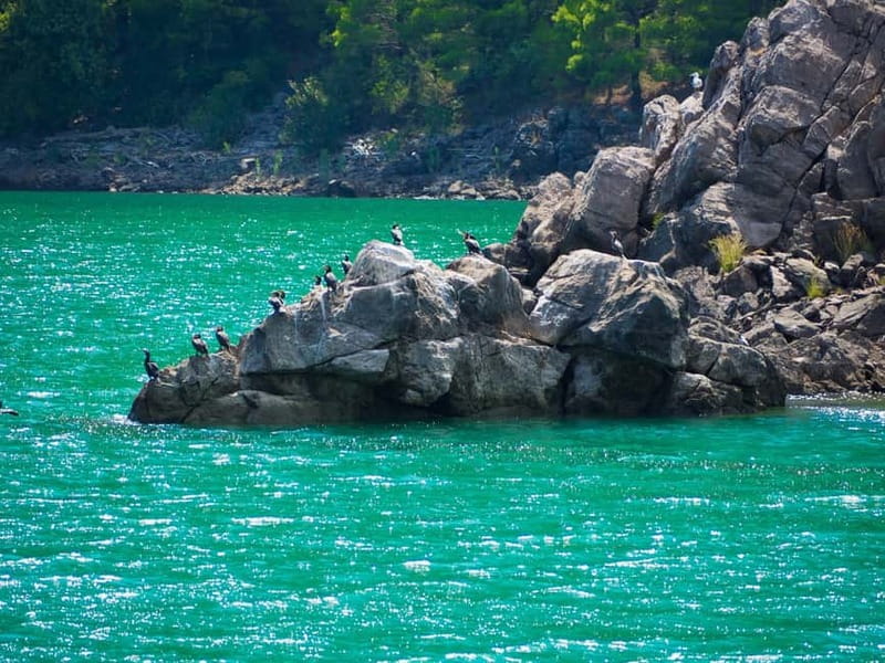 From Alanya: Green Canyon Boat Trip with Lunch and Drinks - The Experience: What Travelers Say