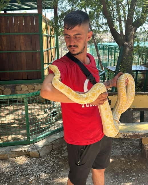 From Alanya: Lion Safari & Green Canyon Splash Feast w/Lunch - Who Will Love This Tour?