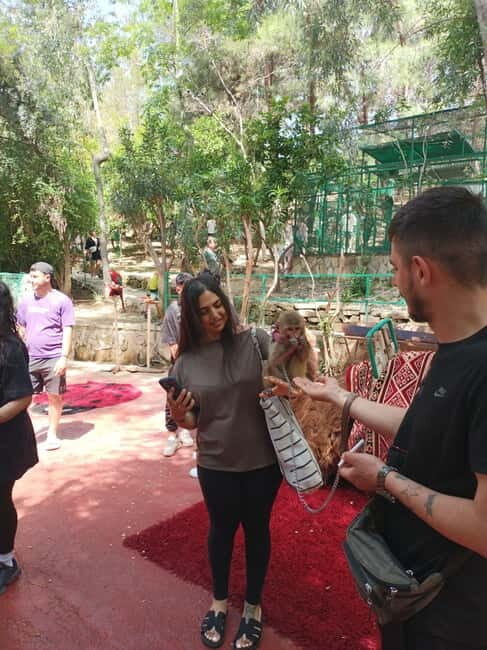 From Alanya: Lion Safari & Green Canyon Splash Feast w/Lunch - Up Close with Lions and Exotic Animals