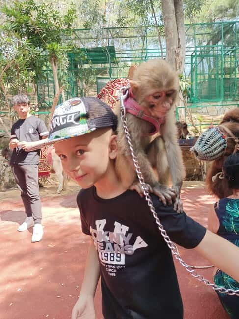 From Alanya: Lion Safari & Green Canyon Splash Feast w/Lunch - Second Round of Water Battles and Scenic Stopovers