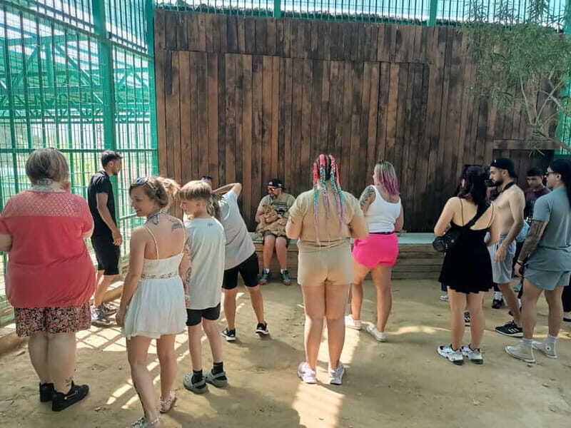 From Alanya: Lion Safari & Green Canyon Splash Feast w/Lunch - Turkish Delight and Foam Party at Gözleme House