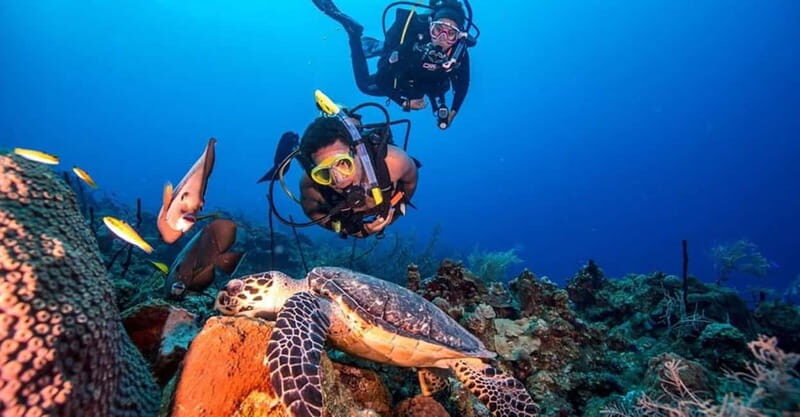 From Alanya: Scuba Diving Tour with Hotel Transfers - Key Points