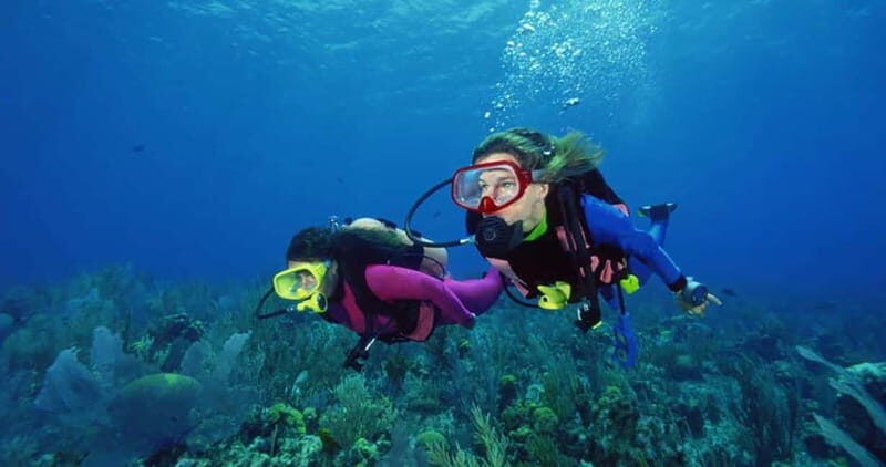 From Alanya: Scuba Diving Tour with Hotel Transfers - An In-Depth Look at the Tour