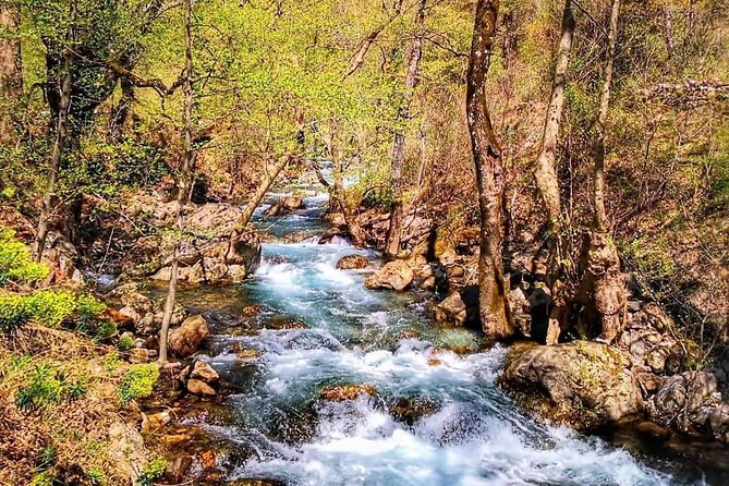 From Alanya & Side: Sapadere Canyon Tour Review - Our Sapadere Canyon Experience