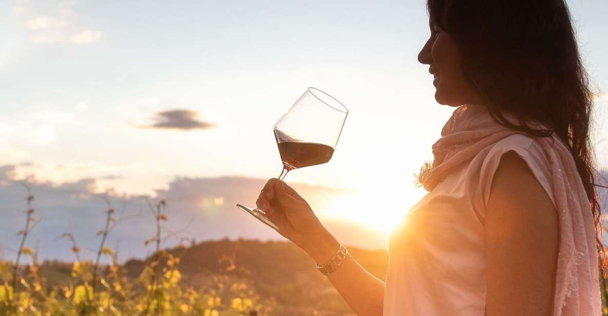 From Alba: Barolo & Barbaresco Wine Tasting Tour - Included Experiences
