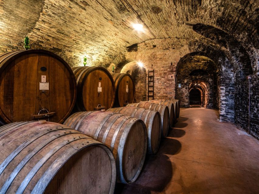 From Alba: Barolo & Barbaresco Wine Tasting Tour - Winery Visits
