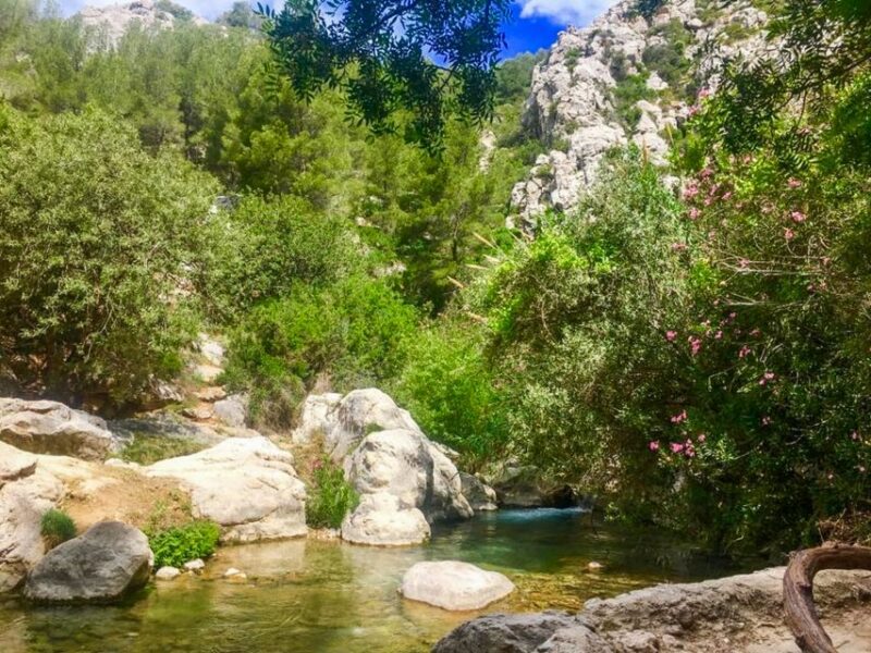 From Albir or Benidorm: Algar Waterfalls Day Trip - Customer Reviews and Ratings