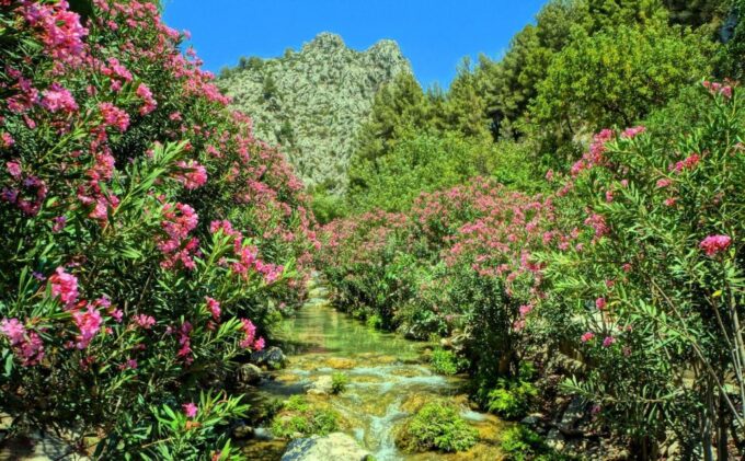 From Albir or Benidorm: Algar Waterfalls Day Trip - What to Bring